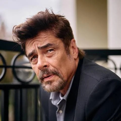 Benicio Del Toro
